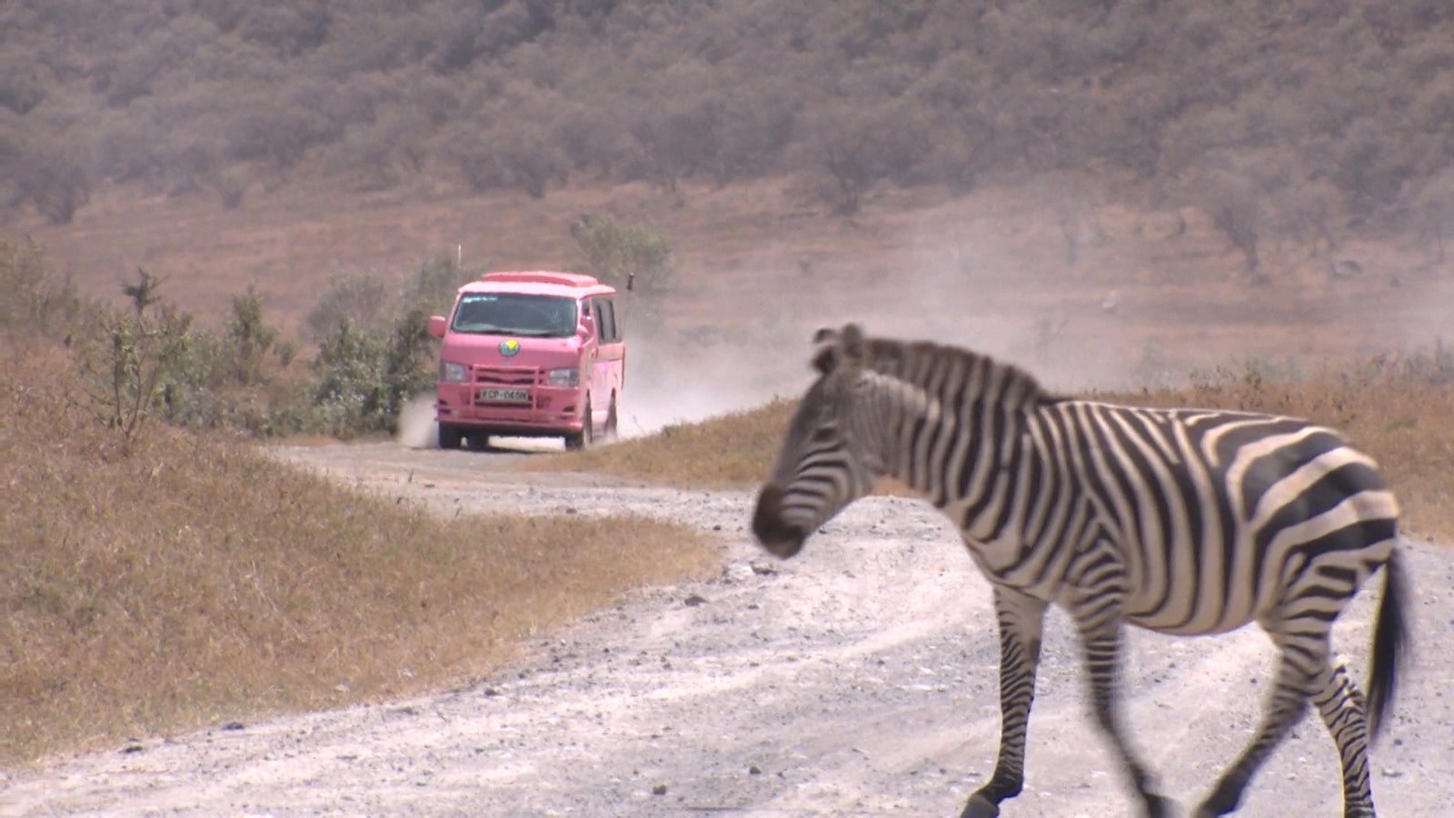 「あいのり：African Journey」第3話より（C）フジテレビ