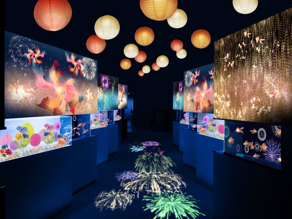 7種の金魚が泳ぐ水槽と提灯の明かりが幻想的な「金魚花火」ゾーン／画像提供：横浜八景島