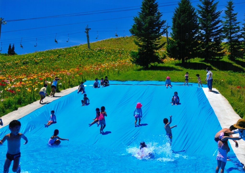 ミニスライダー付きキッズプール／画像提供：中部スノーアライアンス