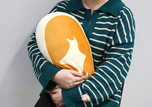 宝島社の北海道チーズ蒸しケーキFAN