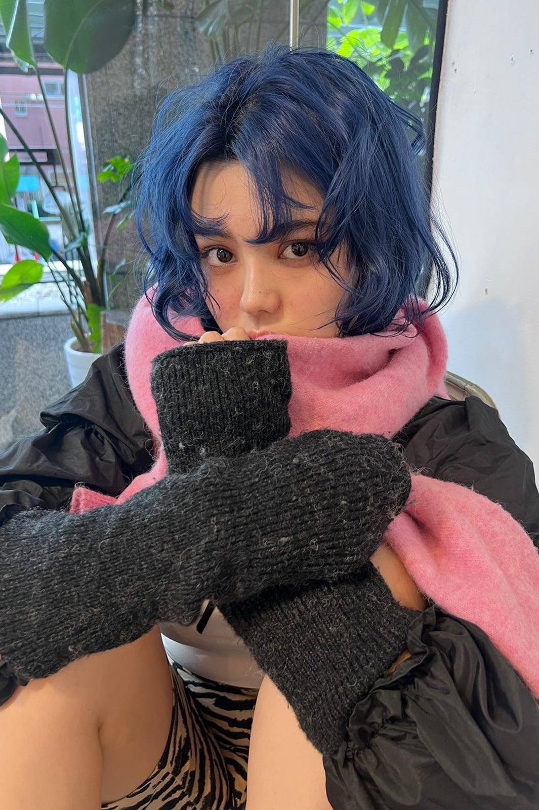 SAKURA （提供画像）