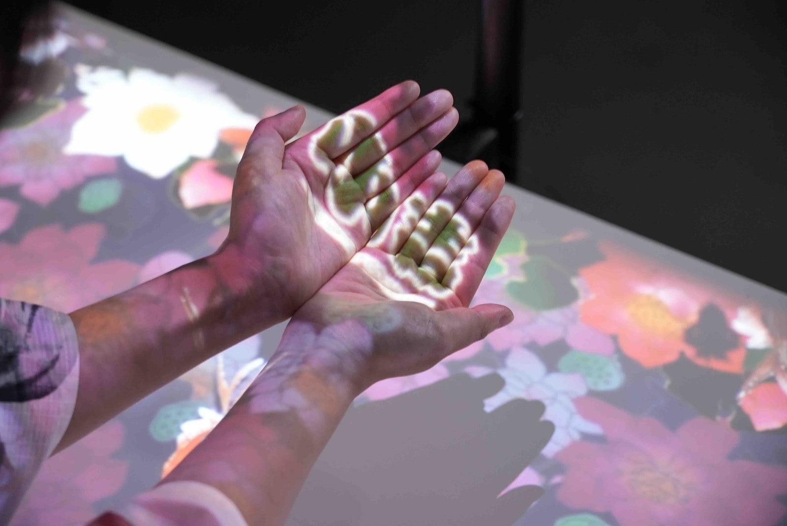 沖縄金魚ミュージアム〜龍と金魚のものがたり／提供画像