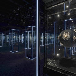 ミキモト、「フィール・ザ・パール・感じるパール展」開催