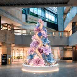 ウェストウォーク クリスマスツリー(※画像はイメージ)/提供画像