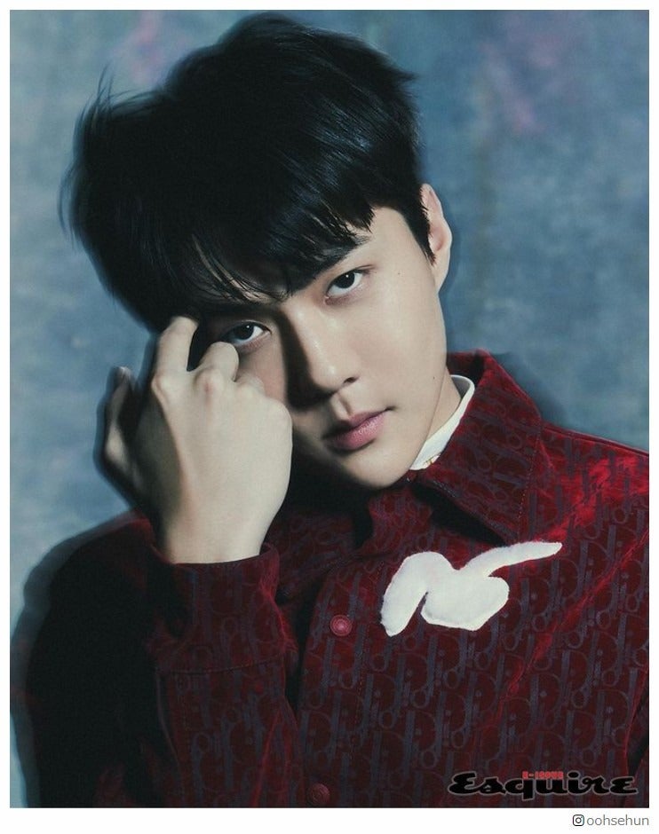 EXOセフン、インターネット上の虚偽投稿に警鐘「法的措置を取るべきだと思った」