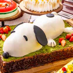 Snoopy’s Summer Camp/提供画像