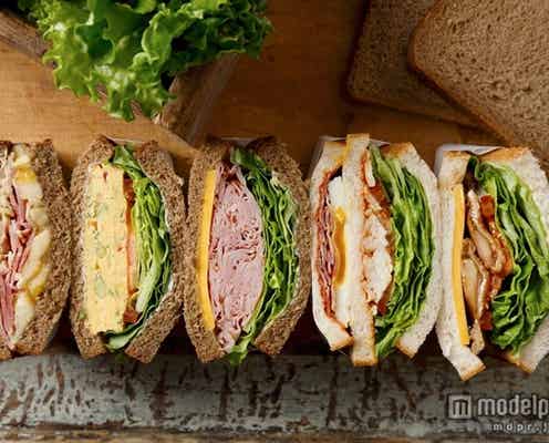 スタバの新たな挑戦、サンドイッチを一新 ボリュームたっぷり全5種どれ食べる?