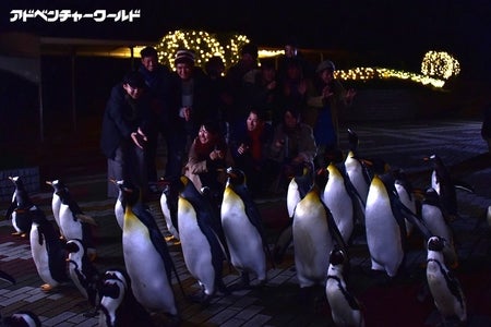 ウィンターナイト／画像提供：アドベンチャーワールド