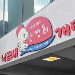 ケミチプ/提供画像