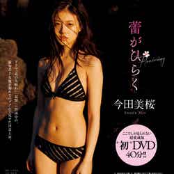 今田美桜DVD（提供画像）