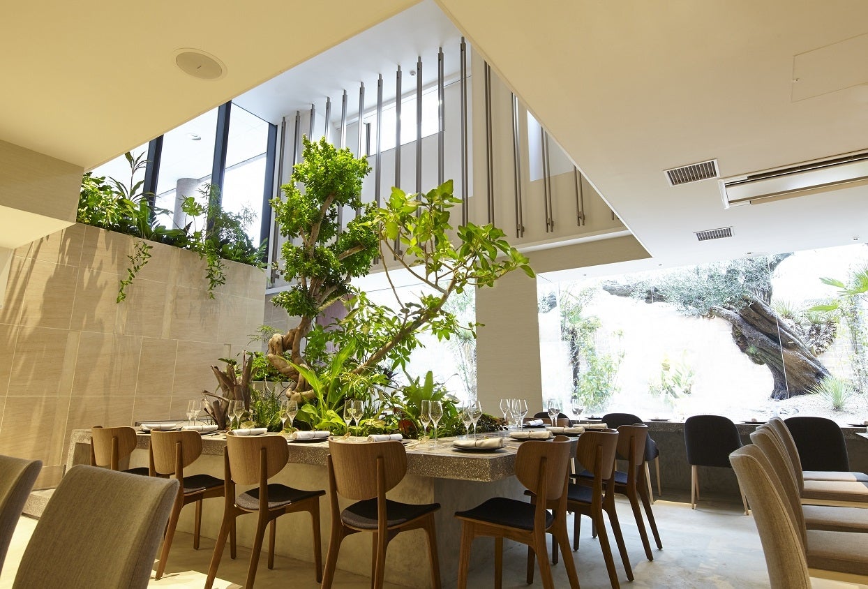 熱香森／画像提供：株式会社TMGB