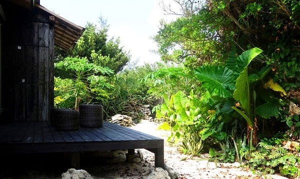 海の近い古民家に泊まる「伝泊 奄美」に注目 暮らすように旅する新体験