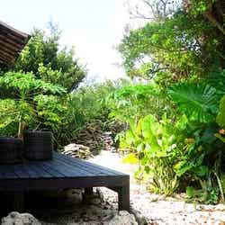 海の近い古民家に泊まる「伝泊 奄美」に注目 暮らすように旅する新体験/画像提供:奄美設計集団