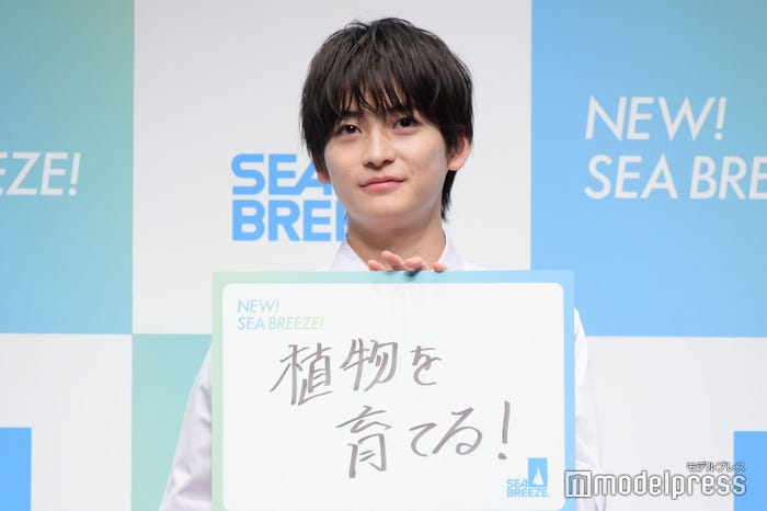 高橋文哉(C)モデルプレス