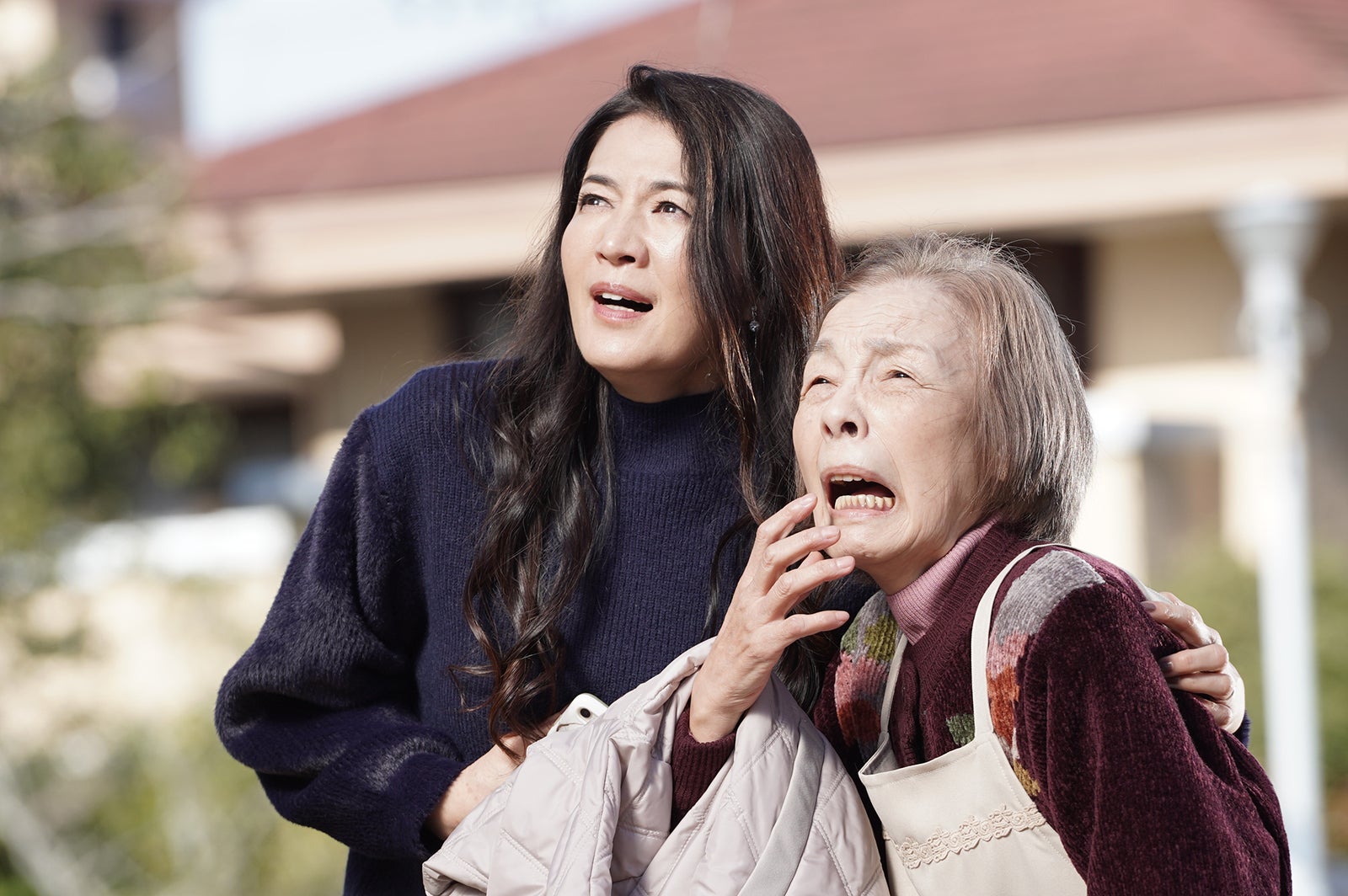 「相棒season22」第17話より（C）テレビ朝日