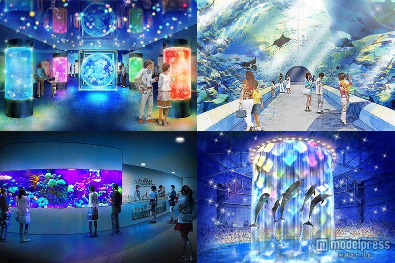 最先端の大規模水族館オープン日決定　世界初の試みが話題に