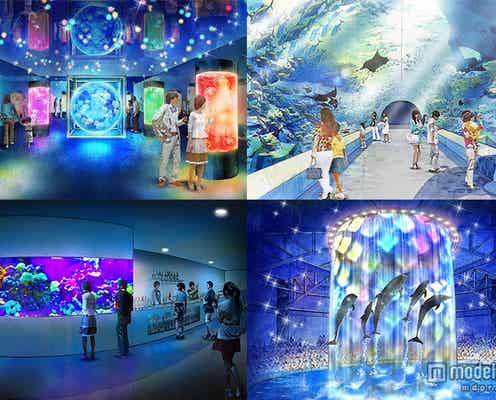 最先端の大規模水族館オープン日決定 世界初の試みが話題に