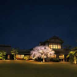 Ryokan 尾道西山/画像提供:せとうちDMO