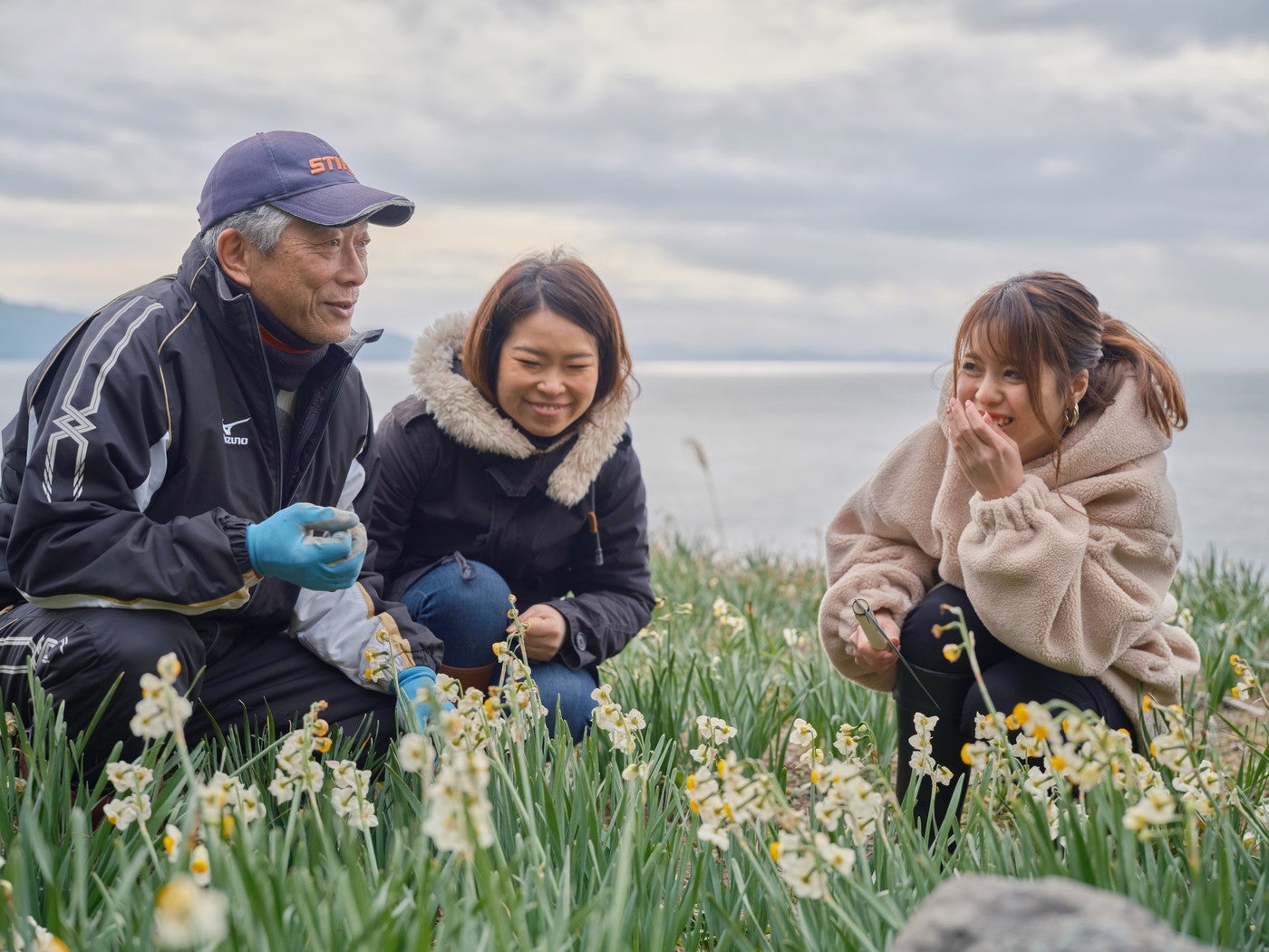 越前海岸で体験できる水仙の摘み取り。絶景をバックに白い絨毯が広がります／提供画像