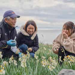 越前海岸で体験できる水仙の摘み取り。絶景をバックに白い絨毯が広がります/提供画像