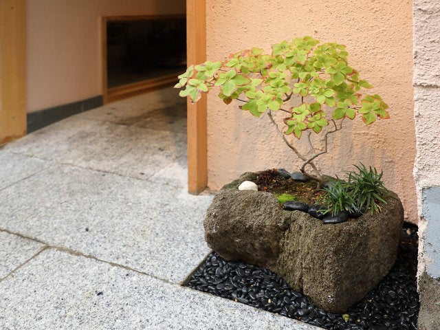 column_12daf5421002be9086d4b3b8cf757102.