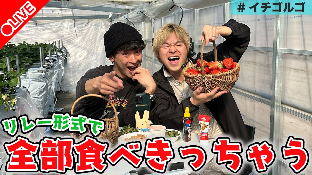 東海オンエアが ビニールハウスのいちごを全部食べきる 生配信に挑戦 モデルプレス 東海オンエアが ビニールハウスのいちごを全部食べきる 生配信に挑戦 モデルプレス