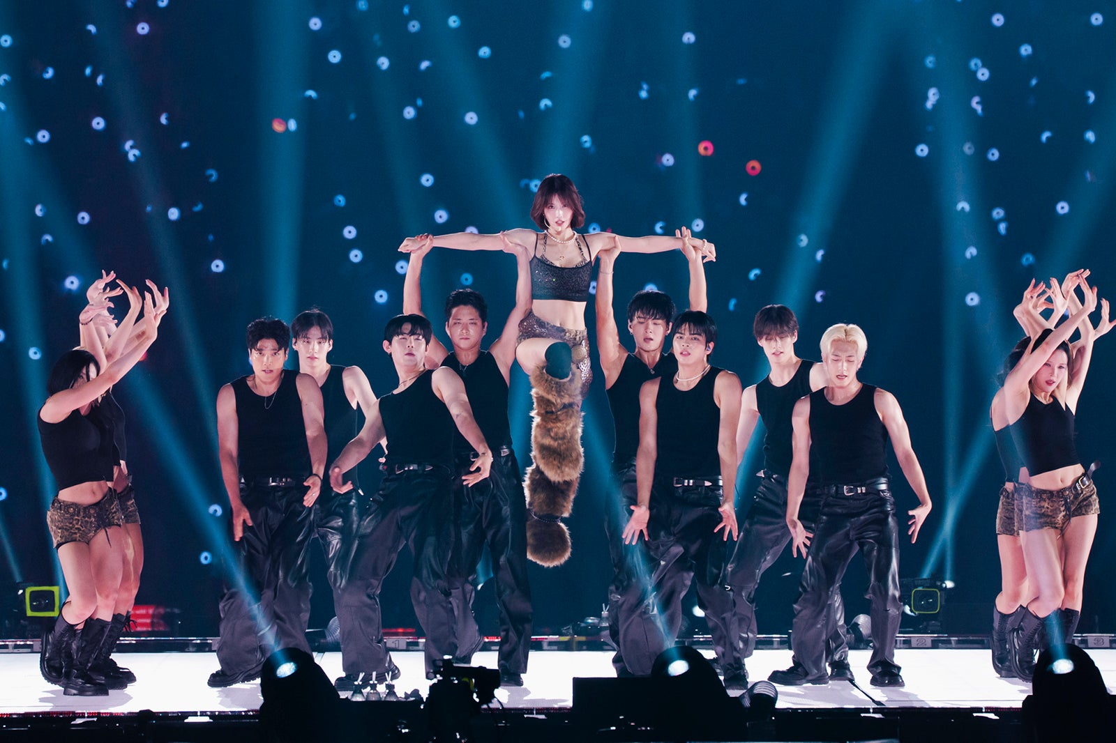 モモ／撮影：田中聖太郎写真事務所