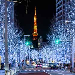 白色と青色のLED “SNOW&BLUE”(過去の様子)/画像提供:六本木ヒルズ