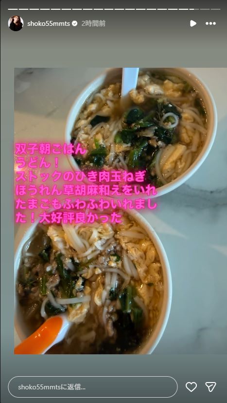 中川翔子Instagramストーリーズより