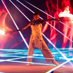 STAR ISLAND/提供画像