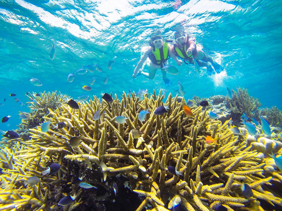 星野リゾート　西表島ホテル／画像提供：星野リゾート