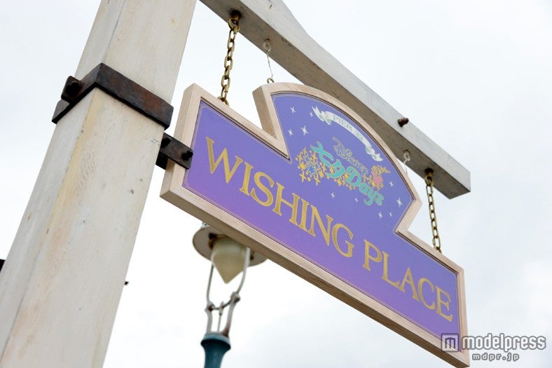 ウィッシングプレイス（TDS）