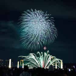 過去のお台場レインボー花火/写真:花火写真家 金武 武