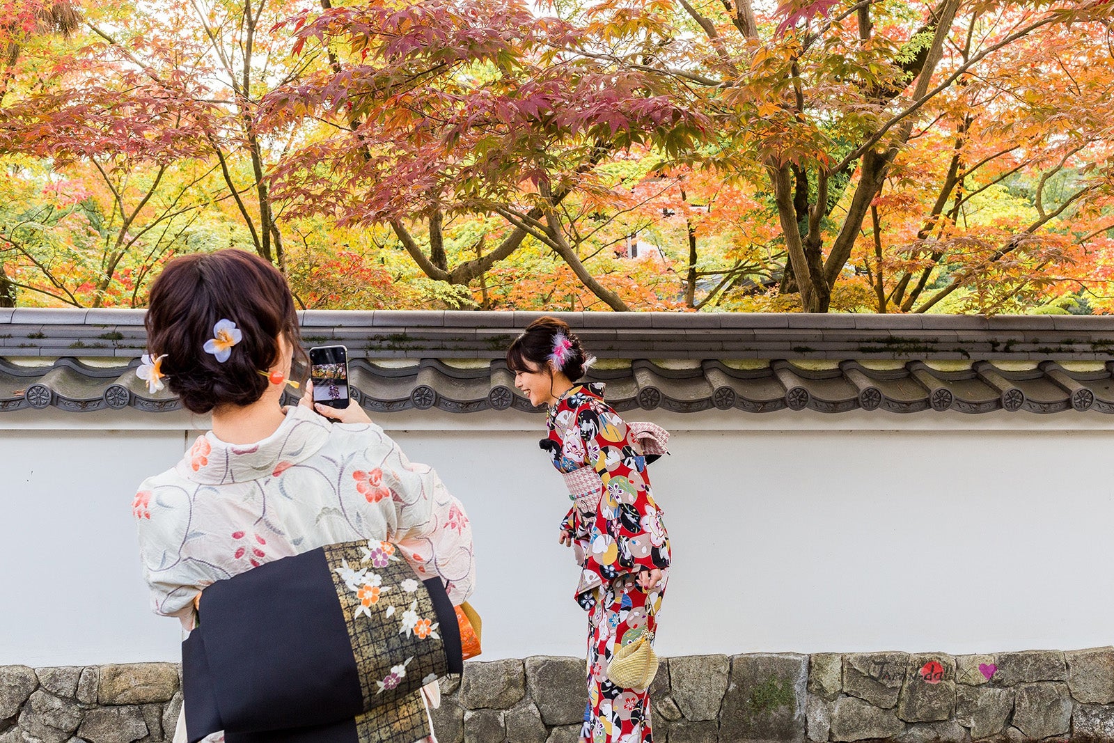 紅葉も見頃 （写真提供：MBS）