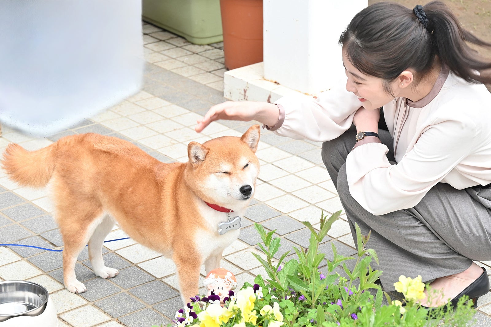 今田美桜「花咲舞が黙ってない」第4話より（C）日本テレビ