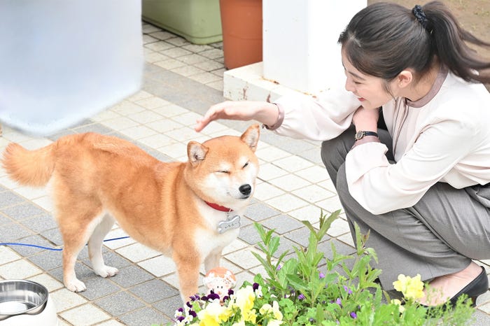 今田美桜「花咲舞が黙ってない」第4話より(C)日本テレビ