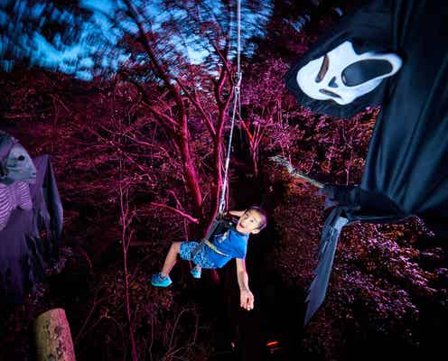 夜のアスレチックで恐怖体験!リゾナーレ熱海の人気体験「空中きもだめし」が拡大復活