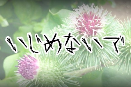 ゴボウ いじめないで ツッコミどころ満載な花言葉ランキング モデルプレス