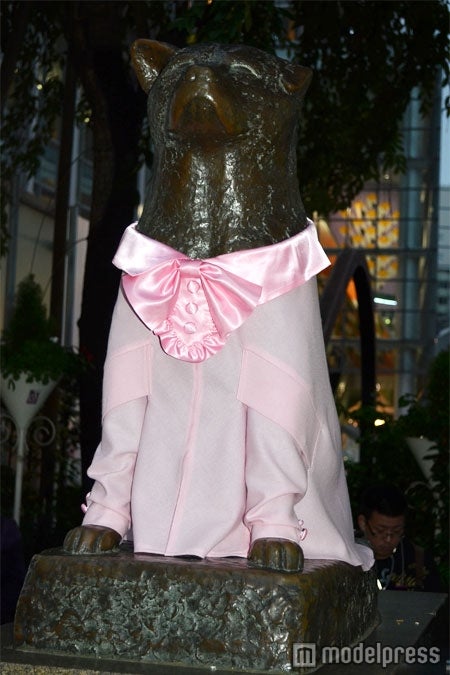 ハチ公が初めて服を着用　渋谷の視線独り占め