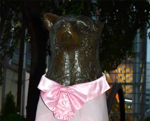 ハチ公が初めて服を着用 渋谷の視線独り占め