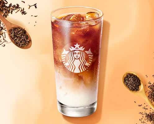 スタバ「ほうじ茶 & クラシックティー ラテ」定番メニュー化 特徴異なる2つの茶葉×ブラックティーを使用