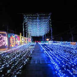 クリスマスファンタジー2015／画像提供：沖縄市役所経済文化部文化観光課
