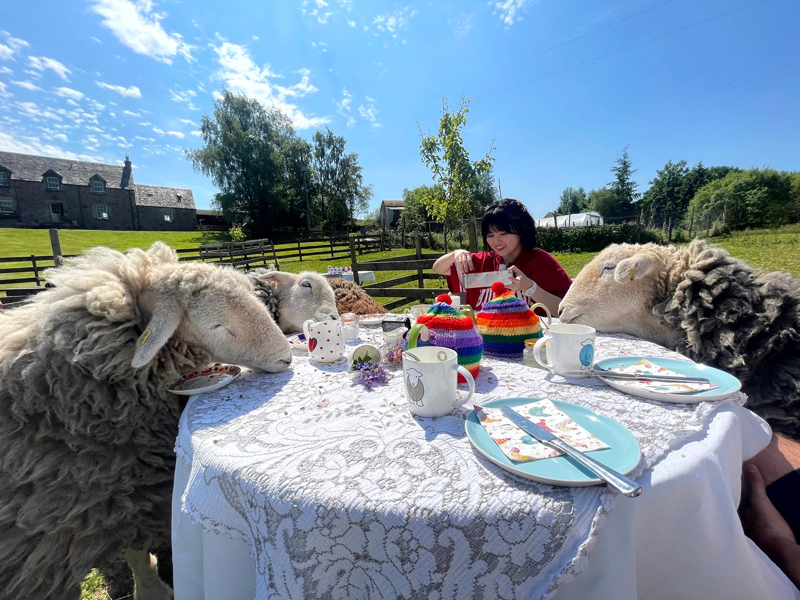 羊とアフタヌーンティーをする池田レイラ（C）日本テレビ