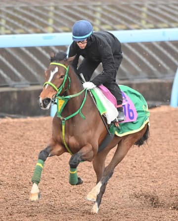 【アネモネS】ファンクション 勝って桜花賞切符だ 2着までに優先出走権 相田助手「勝ち切ってほしい」