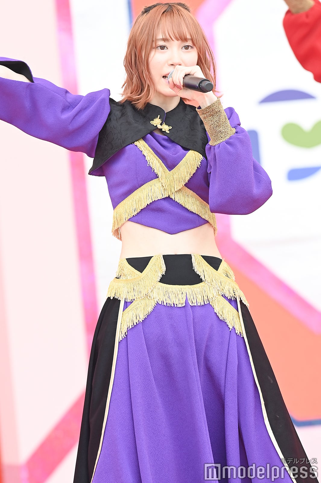 豆柴の大群（C）モデルプレス