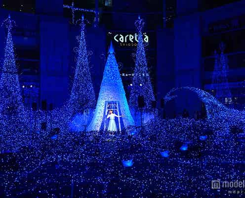 ロマンティックな“青い星の谷”が誕生 27万灯の圧巻イルミがスタート