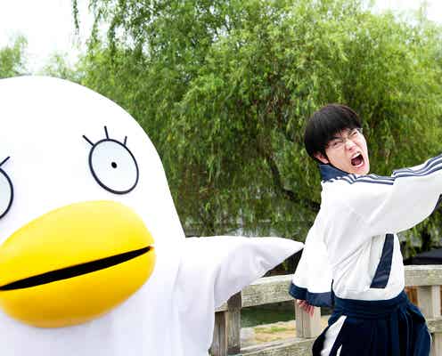 実写映画「銀魂」菅田将暉のメガネがメガネすぎる 切れ味抜群のツッコミ、エリザベス先輩とのコンビネーション…アクションも注目!