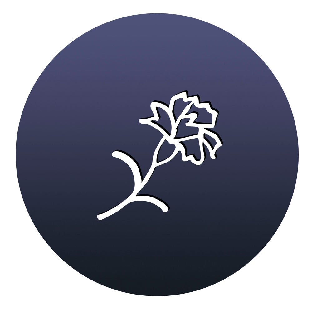 カーネーションモチーフ FFFデザイン／画像提供：エスティ ローダー