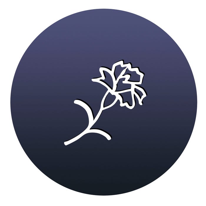 カーネーションモチーフ FFFデザイン/画像提供:エスティ ローダー