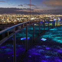 ルミ・スカイ・ウォーク/提供画像